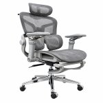 Ghế Công Thái Học Thiết Kế Lưng Đôi Hỗ Trợ Cột Sống Toàn Diện - GX103