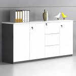 Tủ Tài Liệu Gỗ Dạng Thấp Cho Văn Phòng - THS272