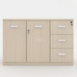 Tủ Tài Liệu Gỗ Thấp 2 Cánh Và 3 Ngắn - THS136