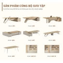 Bàn Giám Đốc Hiện Đại Chân Uốn Lượn Tinh Tế - BGD101