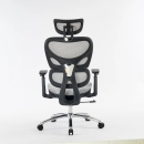 Ghế Công Thái Học Lưng V - CTH17