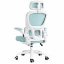 Ghế Văn Phòng Công Thái Học Hỗ Trợ Cột Sống - CTH24
