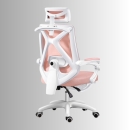 Ghế Công Thái Học Điều Chỉnh Thông Minh - GX65