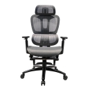 Ghế Công Thái Học Tay Điều Chỉnh - GX76