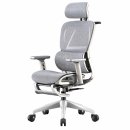 Ghế Xoay Văn Phòng Công Thái Học 919 Cao Cấp - CTH33