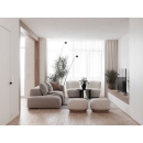 Ghế Sofa Băng Vải Xám Thanh Lịch - SF29