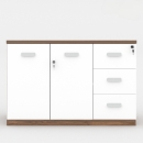 Tủ Gỗ Tài Liệu Thấp 2 Cánh 3 Ngăn - THS132
