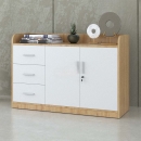 Tủ Tài Liệu Gỗ Dáng Thấp Nhiều Ngăn  - THS64