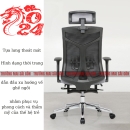 Ghế Công Thái Học Cải Thiện Tư Thế - GX63