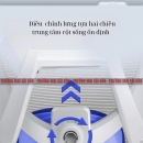 Ghế Công Thái Học Ngả Mình Lưng Lưới - CTH5