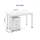 Bàn Văn Phòng Chân Oval Cao Cấp - BLV42