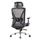 Ghế Xoay Văn Phòng Công Thái Học Ergonomic - GX46