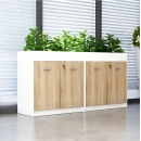 Tủ Văn Phòng Trang Trí Cây Xanh - THS39