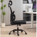 Ghế Văn Phòng Công Thái Học Hỗ Trợ Cột Sống - CTH24