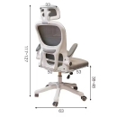 Ghế Văn Phòng Công Thái Học Hỗ Trợ Cột Sống - CTH24