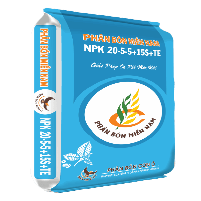 Test Đẹp trai