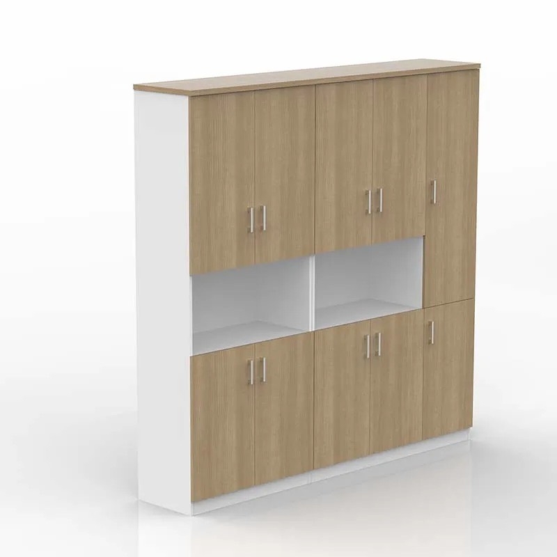 Tủ Văn Phòng Đa Năng Thiết Kế Tiện Lợi - THS116