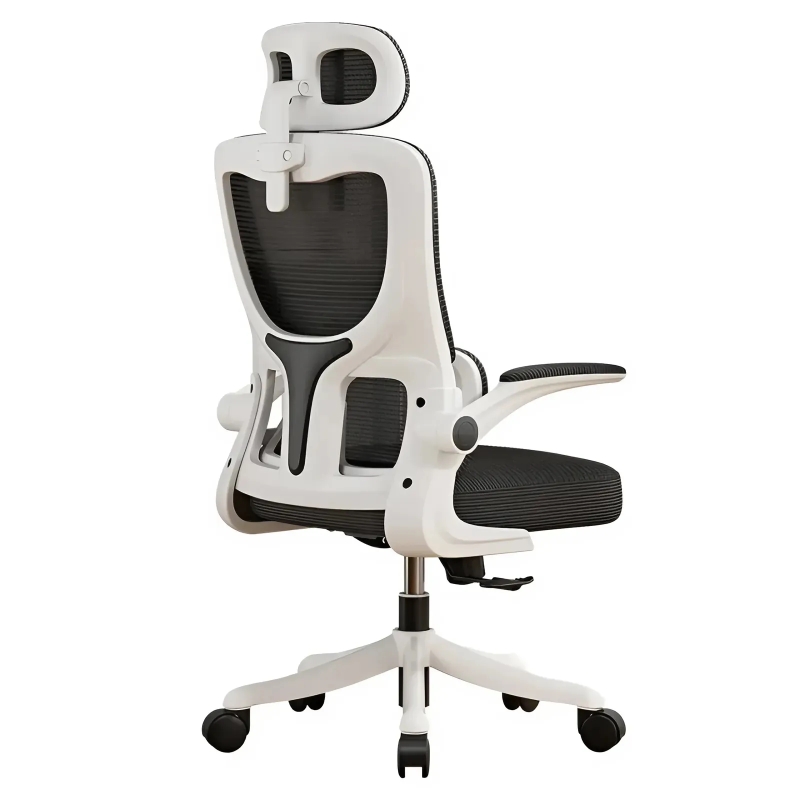 Ghế Công Thái Học Đệm Lưng Cải Thiện Cột Sống - CTH9