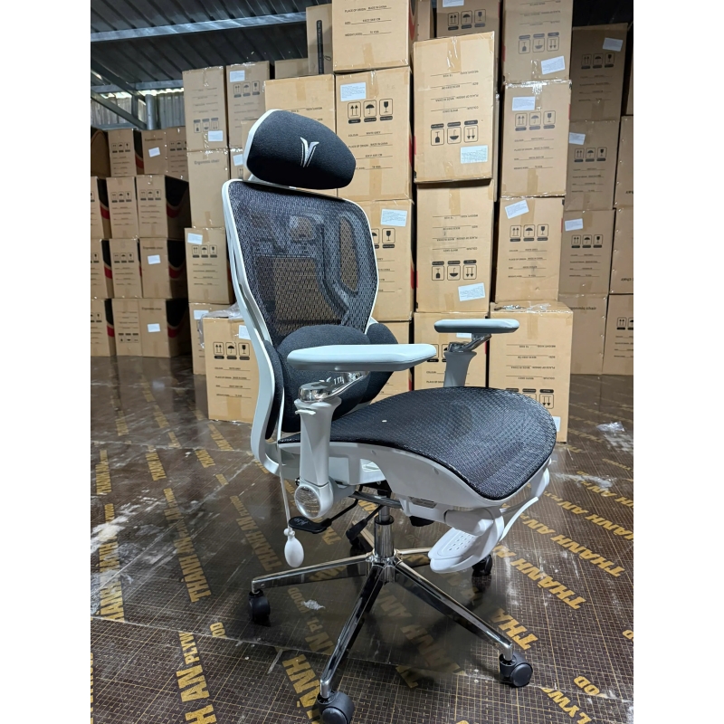  Ghế Công Thái Học LIKE-REGA Chống Đau Lưng - GX70
