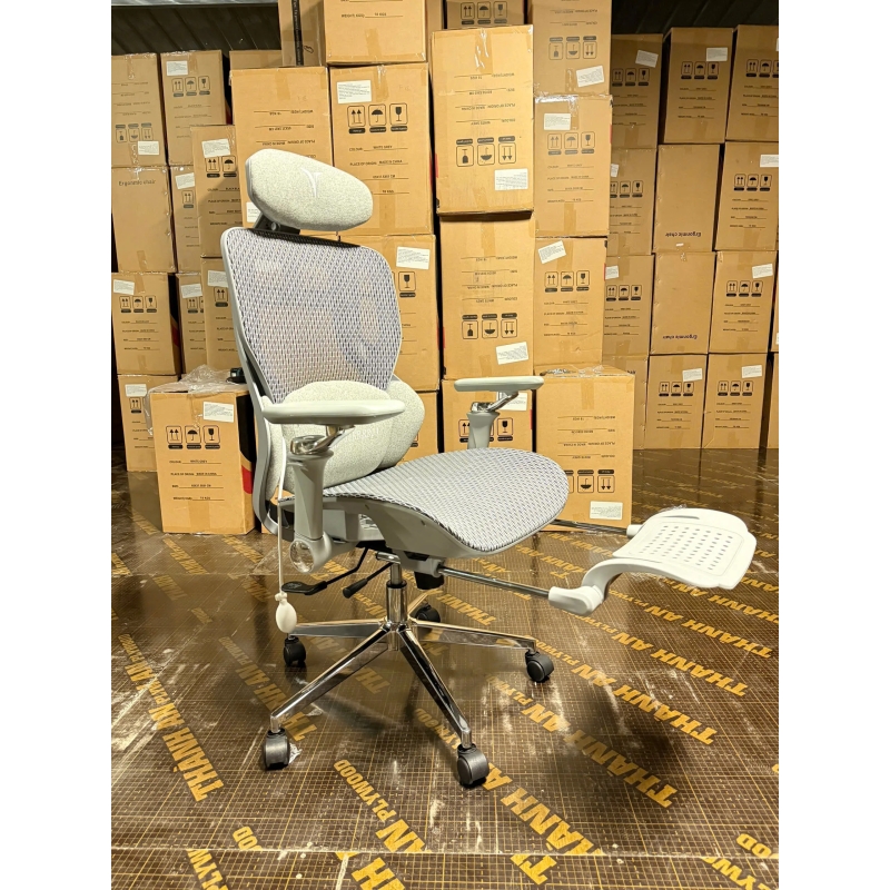  Ghế Công Thái Học LIKE-REGA Lưng Lưới Cao Cấp - GX71