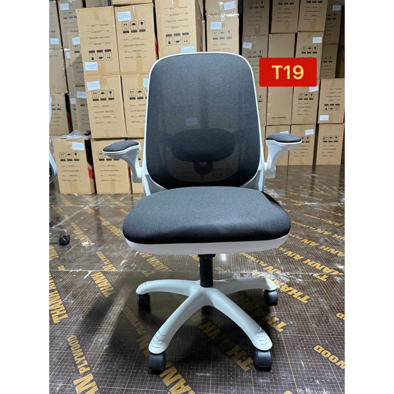 Ghế Công Thái Học T19 Trẻ Trung Tiện Nghi Hiện Đại - GX75