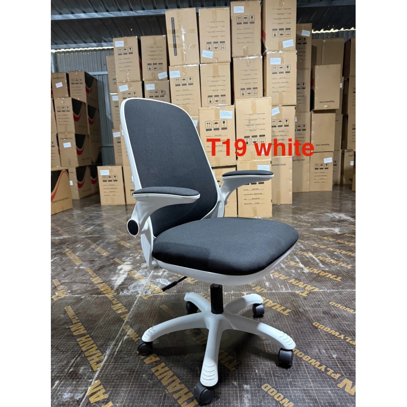 Ghế Công Thái Học T19 Trẻ Trung Tiện Nghi Hiện Đại - GX75