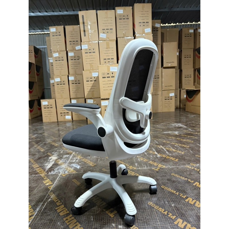 Ghế Công Thái Học T19 Trẻ Trung Tiện Nghi Hiện Đại - GX75
