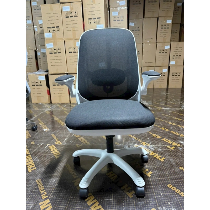 Ghế Công Thái Học T19 Trẻ Trung Tiện Nghi Hiện Đại - GX75