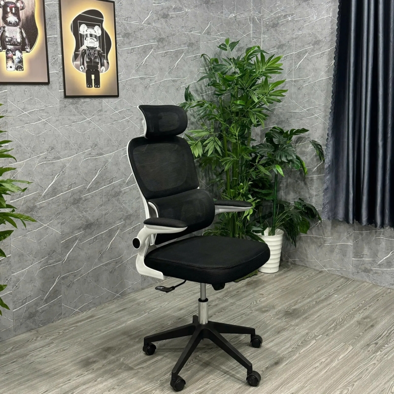 Ghế Văn Phòng Công Thái Học Hỗ Trợ Cột Sống - CTH24
