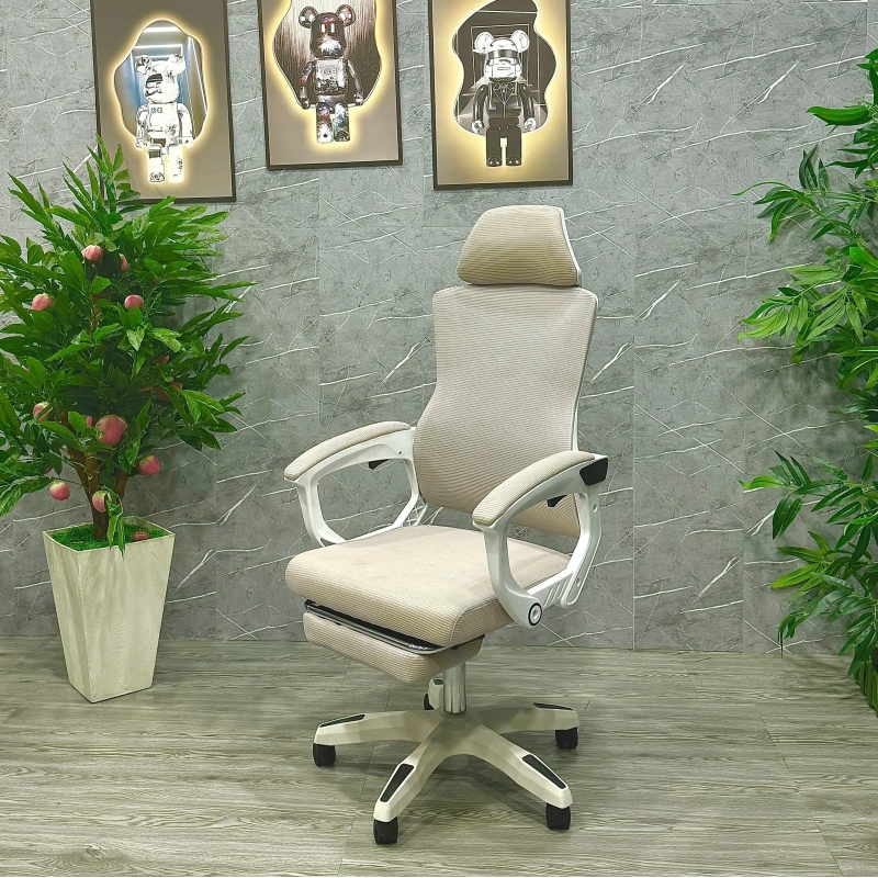 Ghế Công Thái Học Ngả Mình - CTH26