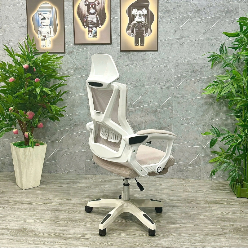 Ghế Công Thái Học Ngả Mình - CTH26