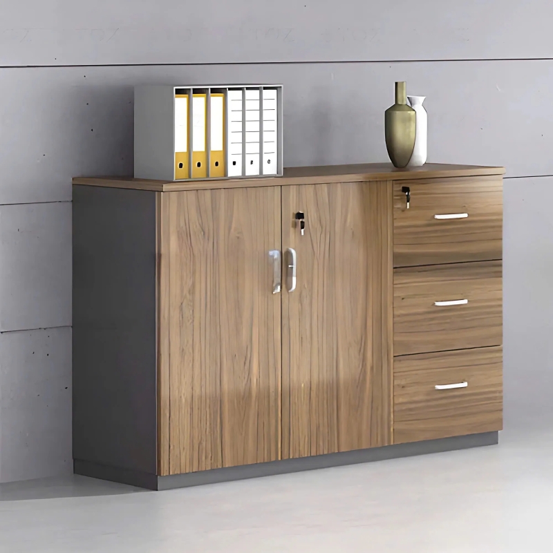Tủ Văn Phòng DángThấp 3 Ngăn 2 Cánh - THS270