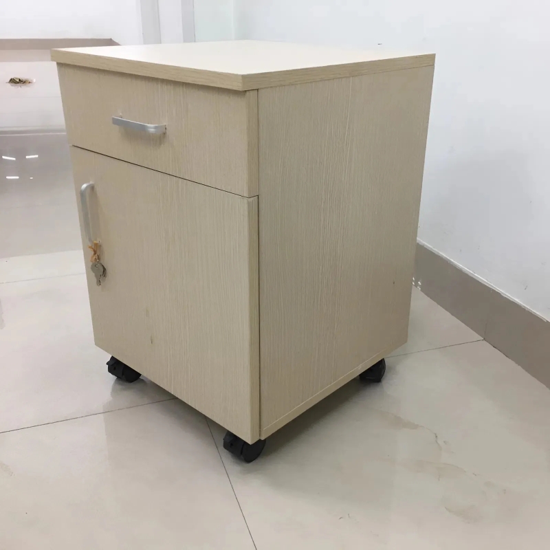 Tủ Phụ Di Động  2 Cánh Văn Phòng  - TP38