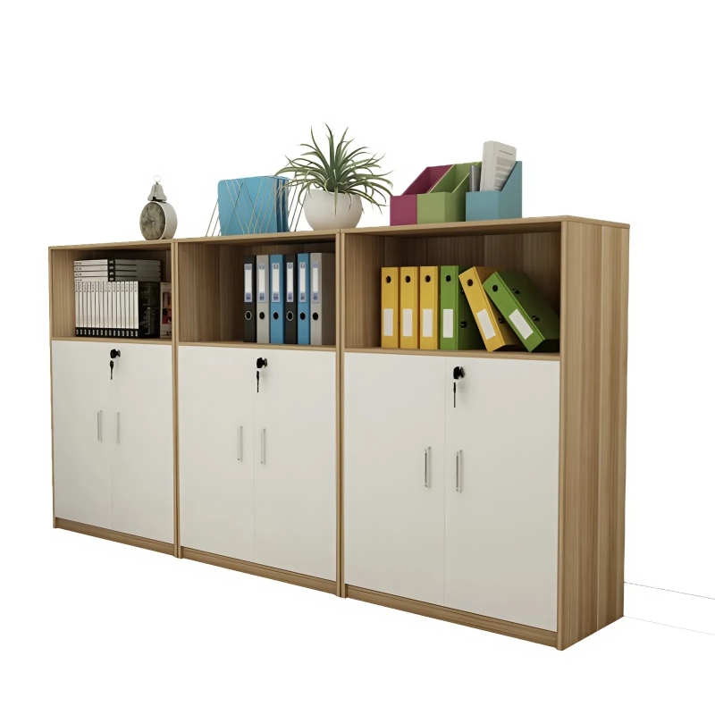 Tủ Tài Liệu Gỗ Dáng Thấp Hiện Đại - THS217