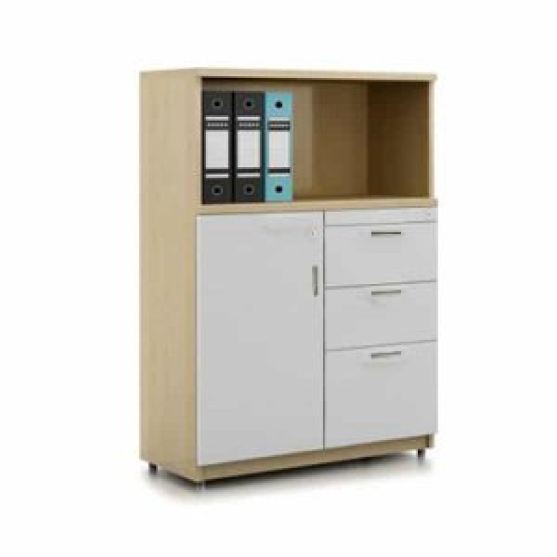 Tủ Tài Liệu Gỗ Thấp Có Ngăn Kéo - THS109