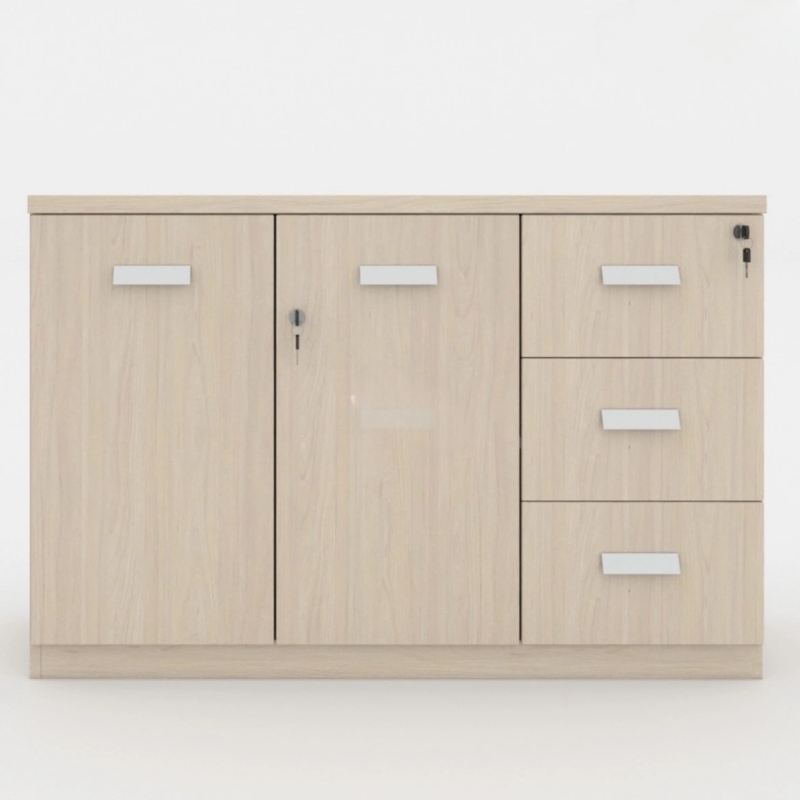 Tủ Gỗ Tài Liệu Thấp 2 Cánh 3 Ngăn - THS132