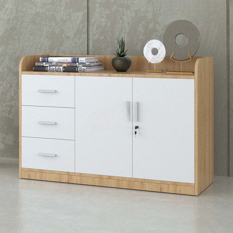 Tủ Tài Liệu Gỗ Dáng Thấp Nhiều Ngăn  - THS64