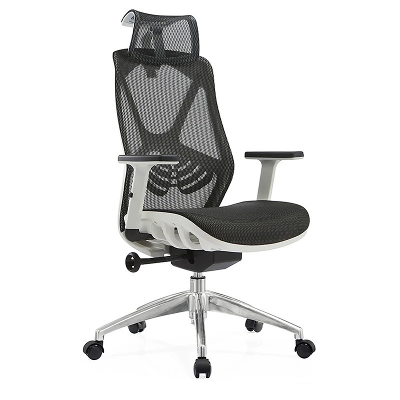 Ghế Công Thái Học Spider Đa Năng - CTH14