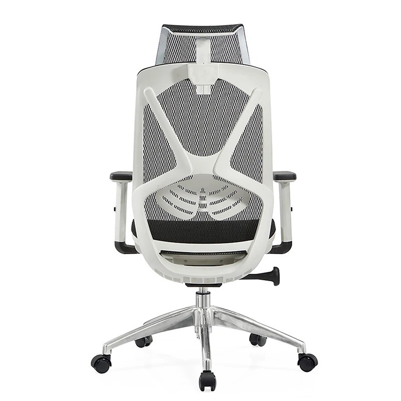 Ghế Công Thái Học Spider Đa Năng - CTH14
