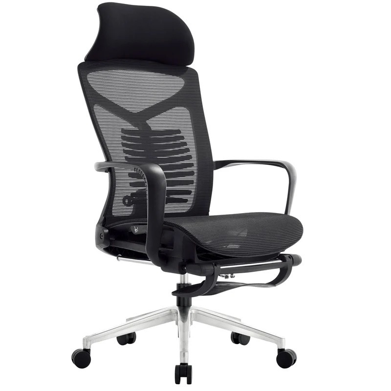 Ghế Công Thái Học Lưng Xương Cá - CTH20