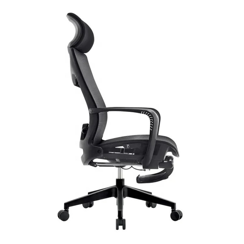 Ghế Công Thái Học Lưng Xương Cá - CTH20