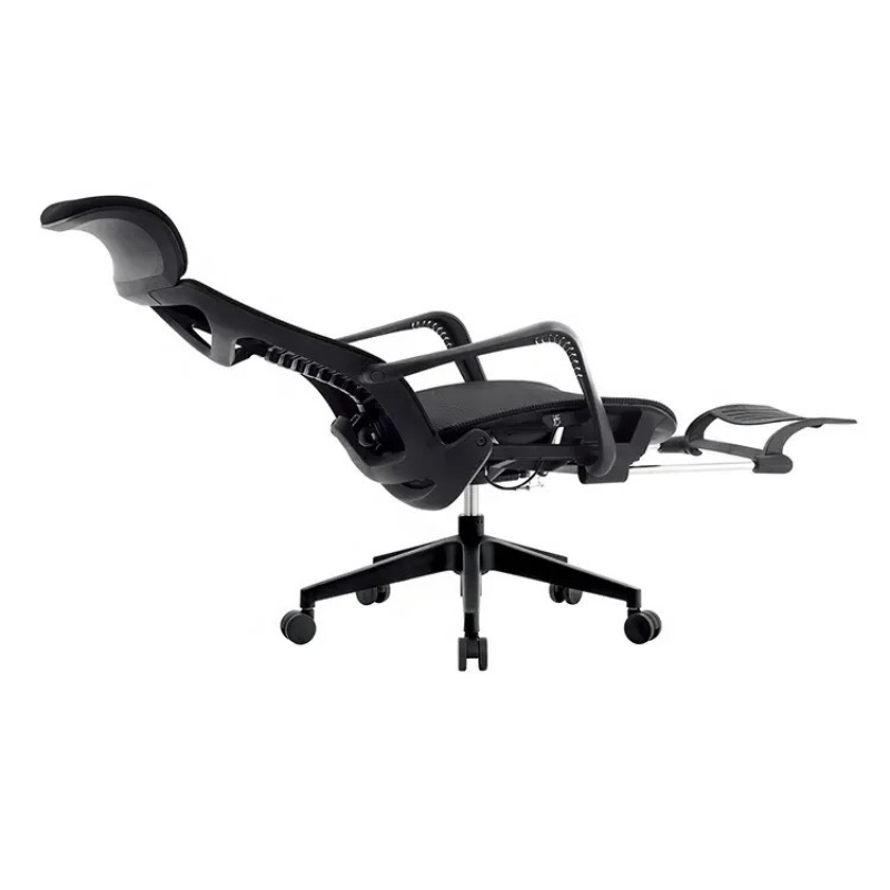 Ghế Công Thái Học Lưng Xương Cá - CTH20