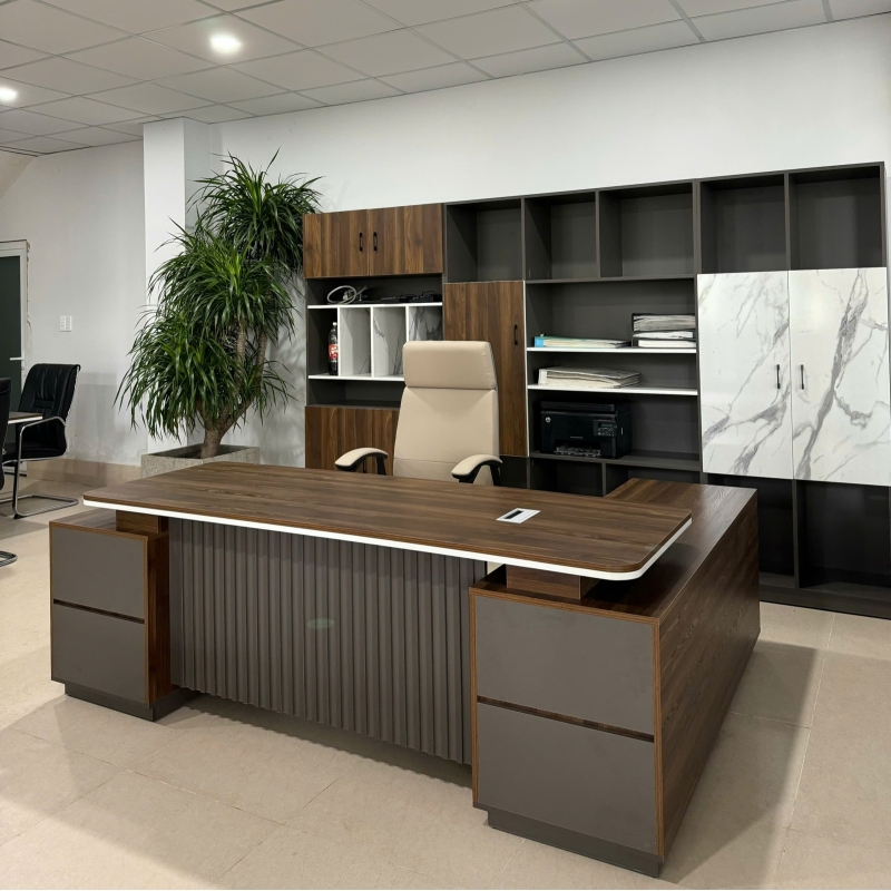Tủ Tài Liệu Gỗ Dành Phòng Giám Đốc - THS231