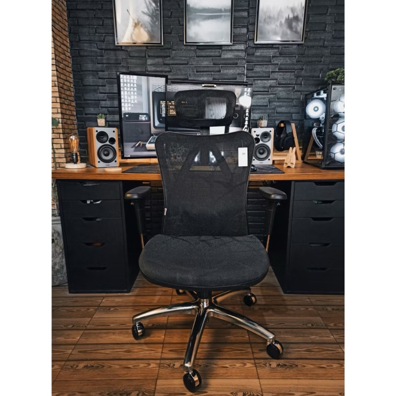 Ghế Xoay Văn Phòng Công Thái Học Ergonomic - GX46