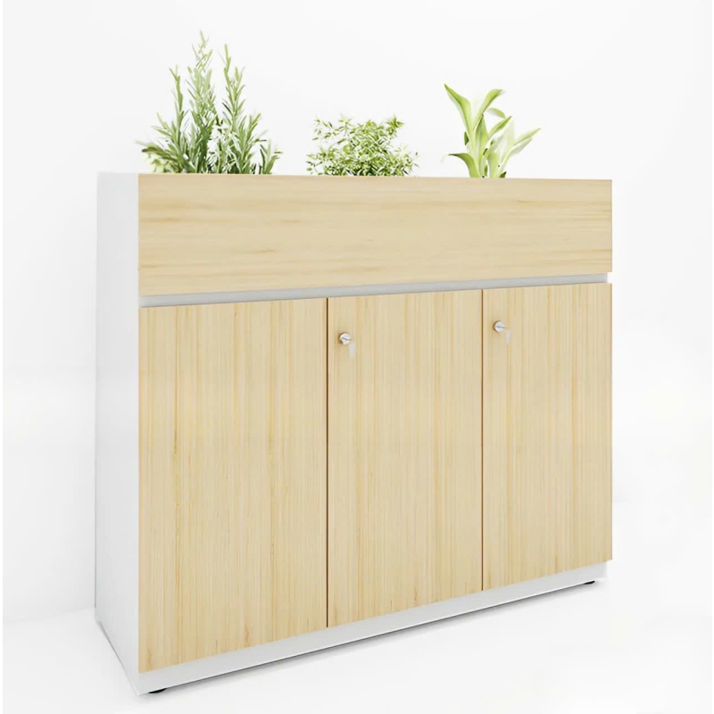Tủ Hồ Sơ Trang Trí Cây Xanh Văn Phòng - THS42