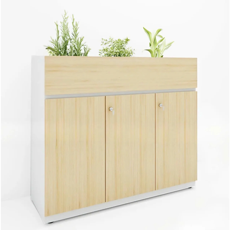 Tủ Hồ Sơ Trang Trí Cây Xanh Văn Phòng - THS42