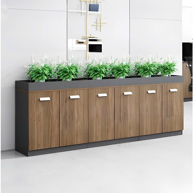 Tủ Văn Phòng Để Cây Trang Trí Trưng Bày - THS233